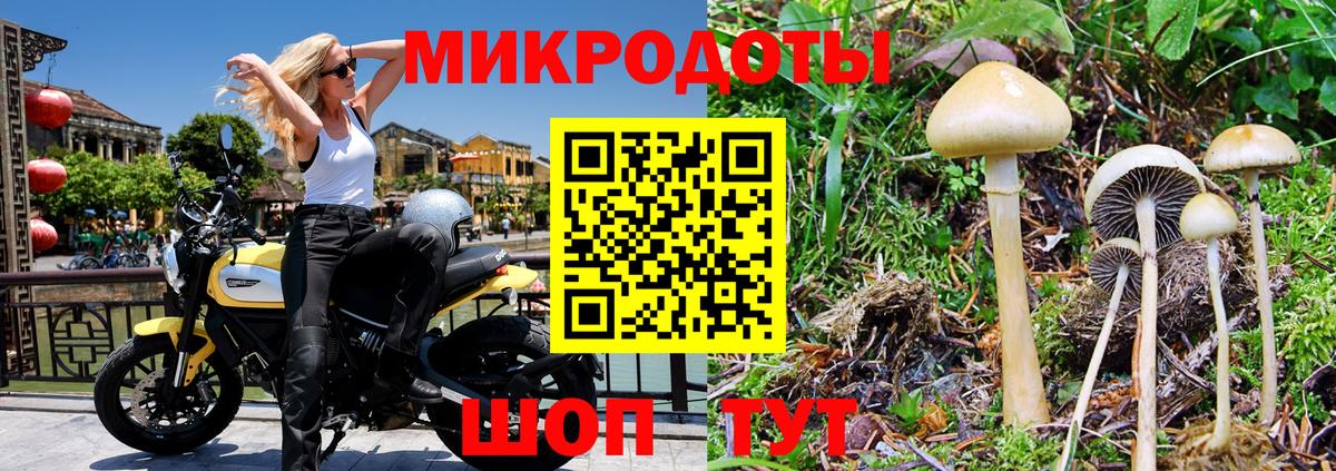 Ростов Великий  Галлюциногенные грибы мухоморы  Вход с VPN 